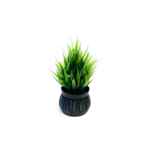Succulent Pot